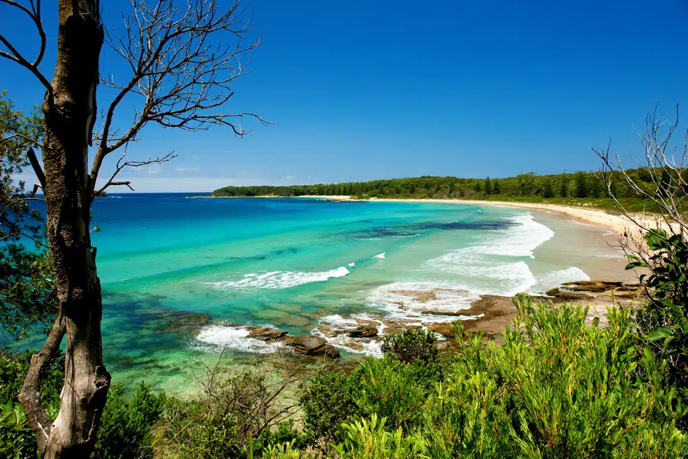 Coastal Adventures Down Under: Experience Australia’s Beaches with Car Australia